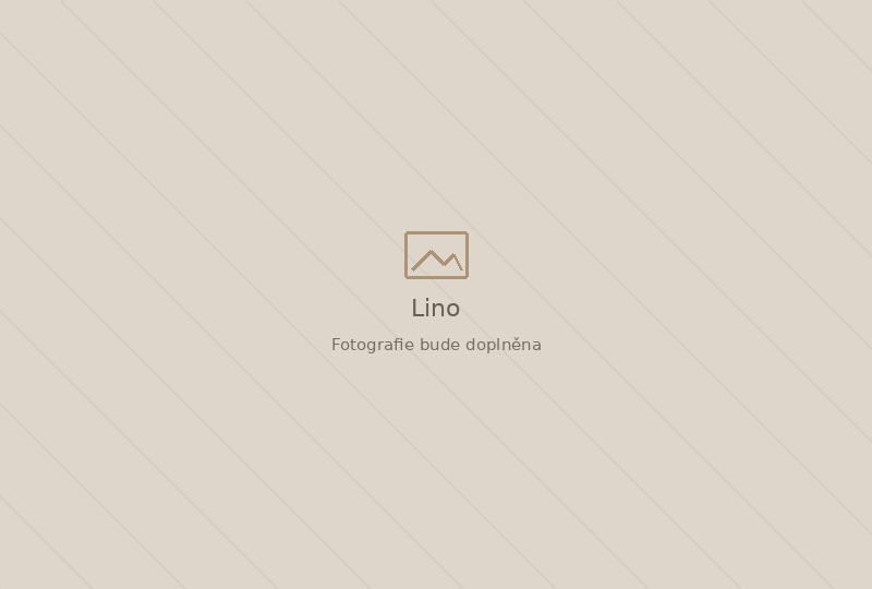 Lino Lino – dočasná plocha pro fotografii