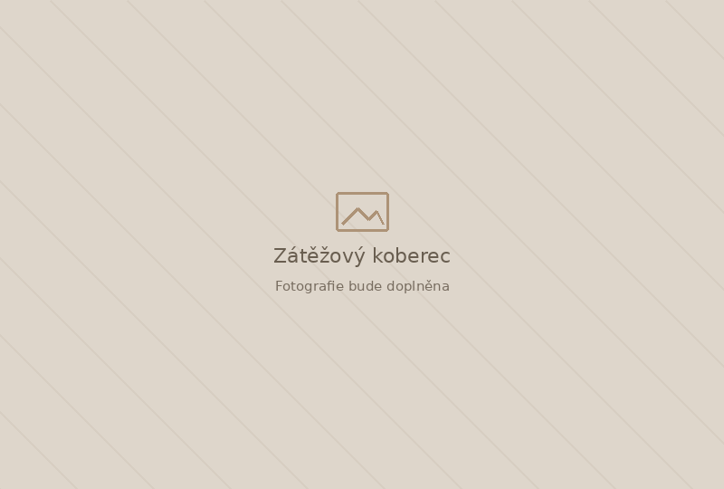 Zátěžový koberec Zátěžový koberec – dočasná plocha pro fotografii