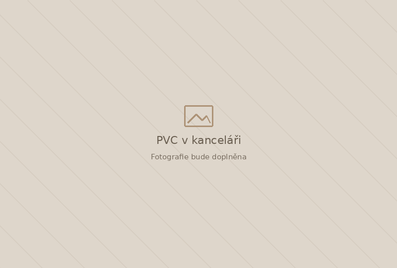 PVC v kanceláři PVC v kanceláři – dočasná plocha pro fotografii
