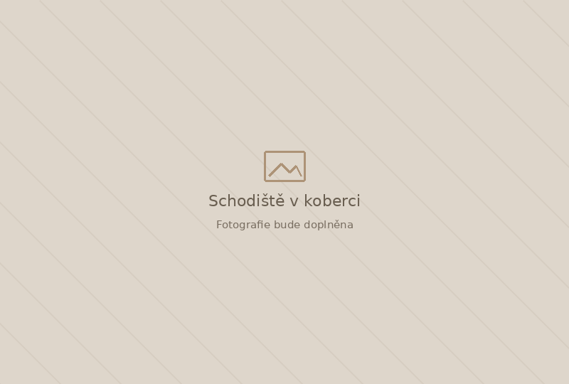 Schodiště v koberci Schodiště v koberci – dočasná plocha pro fotografii